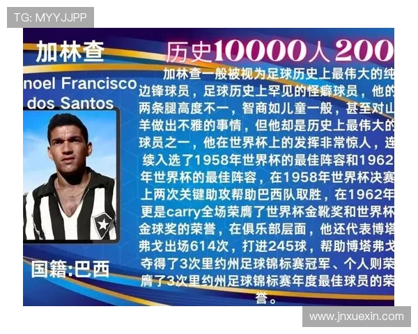 全球累计退役足球明星数量突破历史新高引发热议